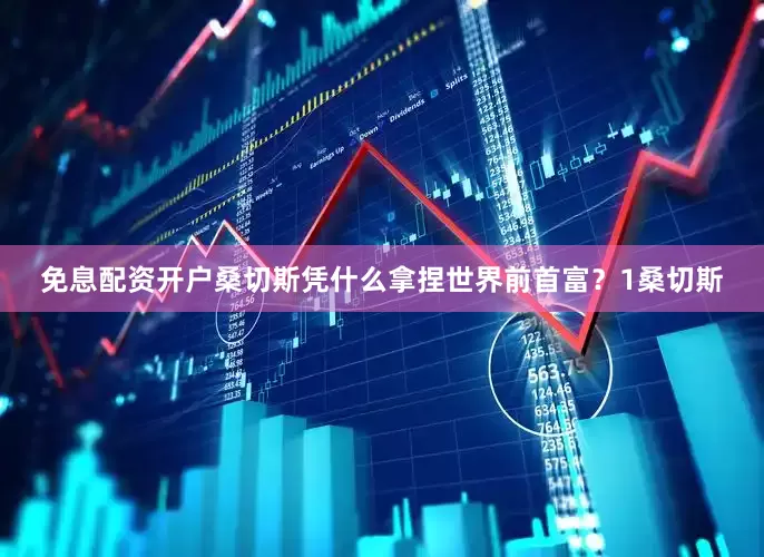 免息配资开户桑切斯凭什么拿捏世界前首富？1桑切斯